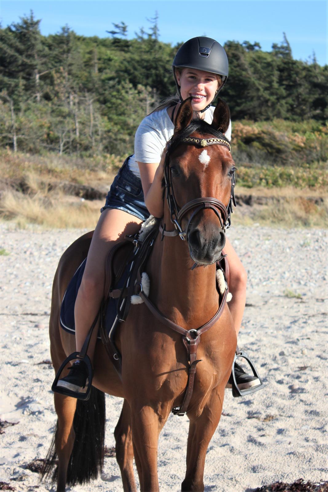 DSP Vigogaard's avatar billede 9