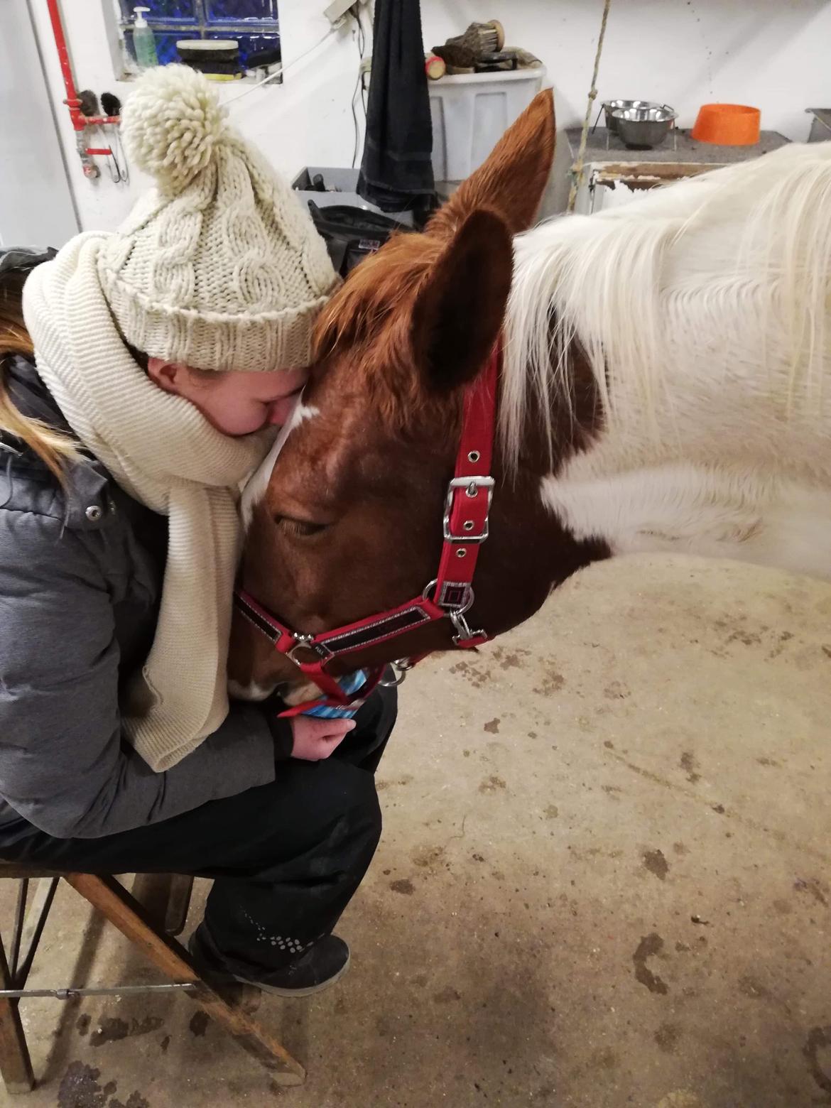 Anden særlig race Freja billede 16