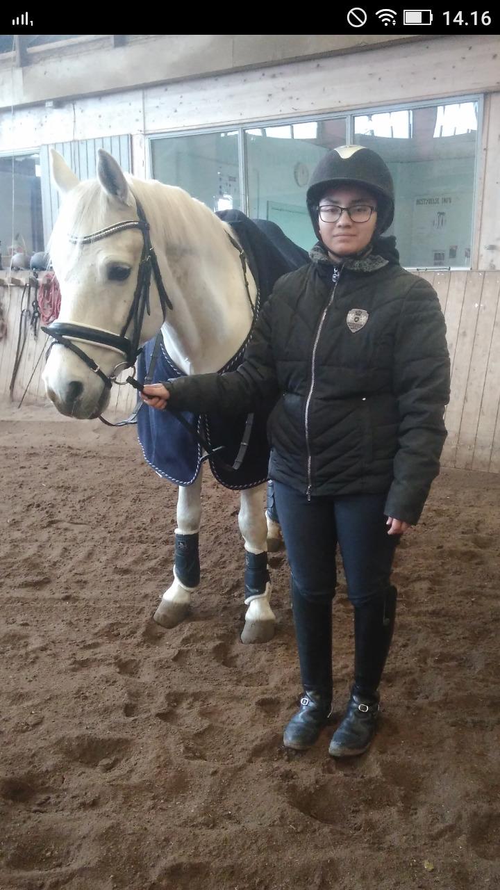 Connemara Aabæks Robin Lee (Cozmo) billede 6