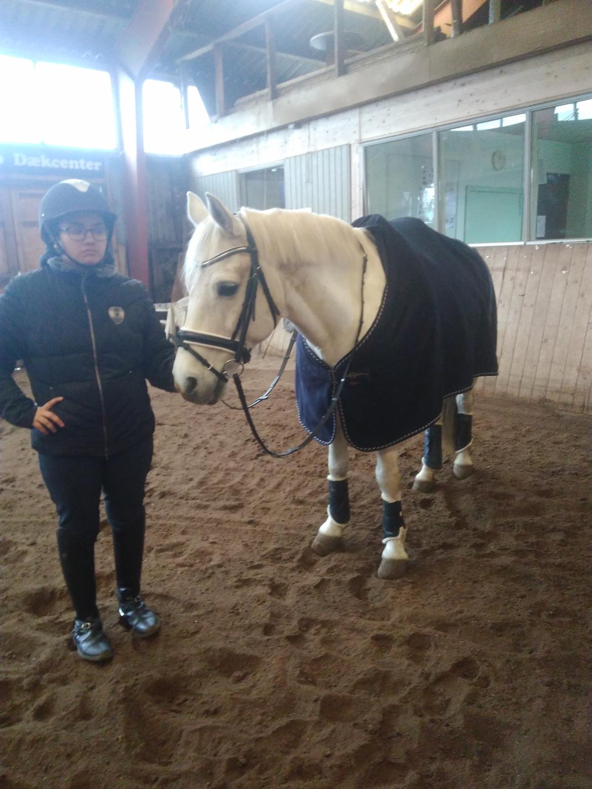 Connemara Aabæks Robin Lee (Cozmo) billede 7