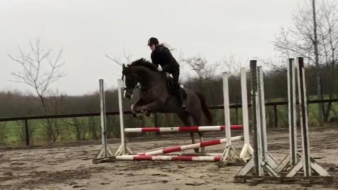 Anden særlig race Storm - 2. prøvetur billede 3