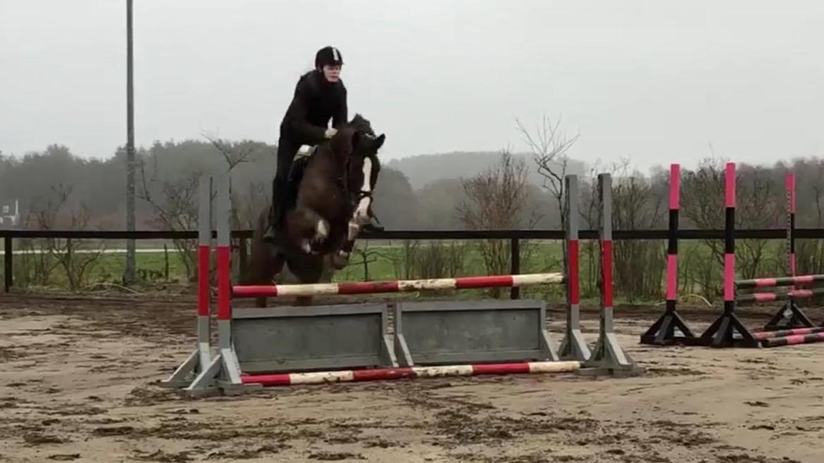 Anden særlig race Storm - 2. prøvetur billede 4