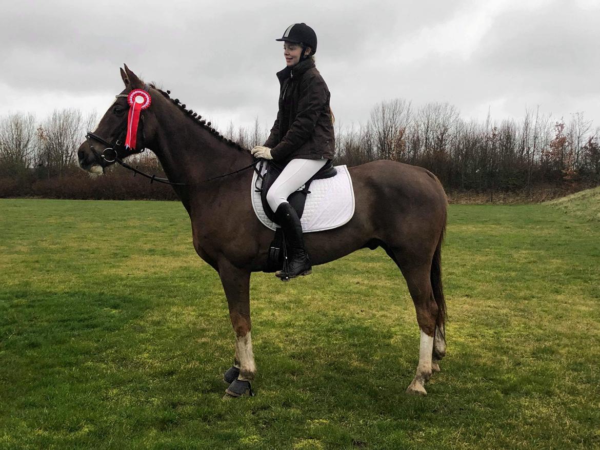 Anden særlig race Storm - Fra 1. dressurstævne billede 18