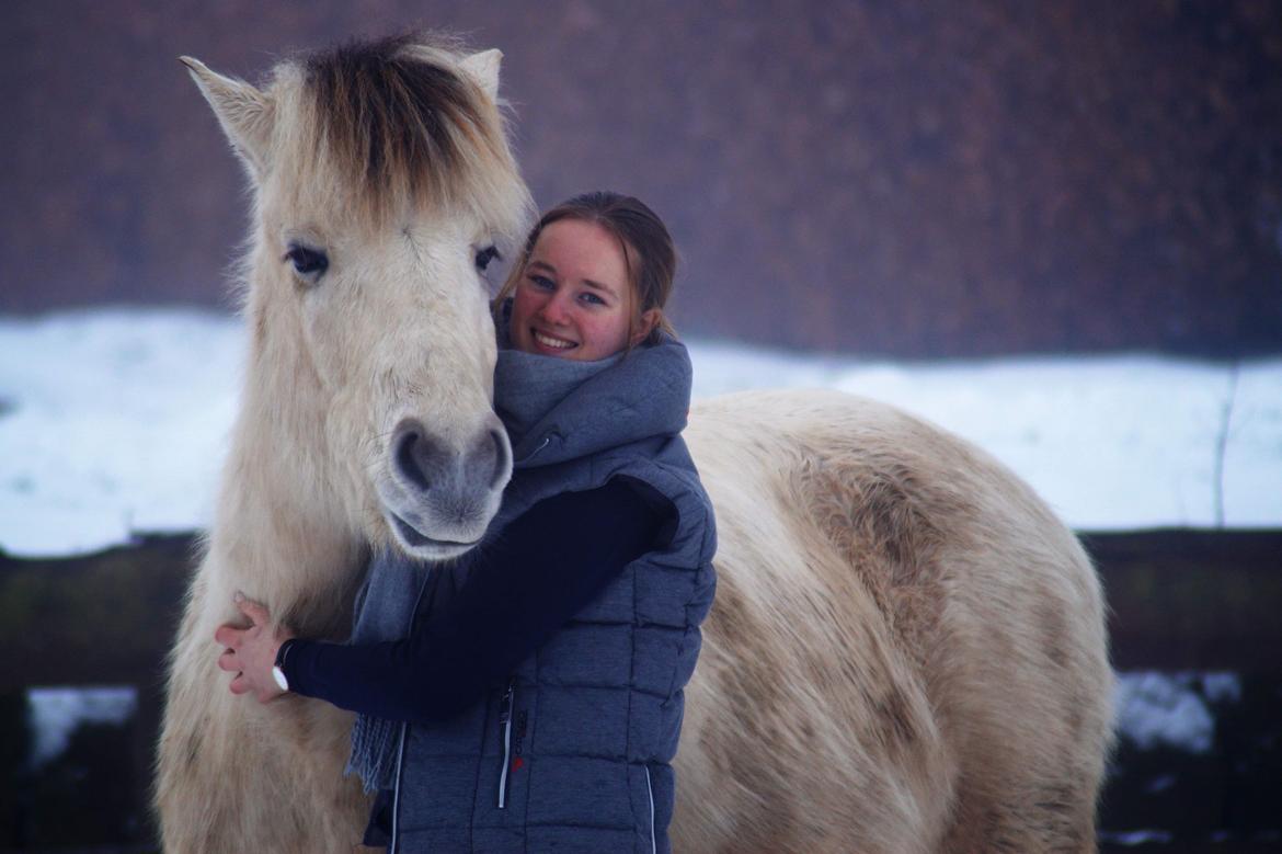 Fjordhest Atom Moskilde - Verdens bedste bamse <3 billede 12