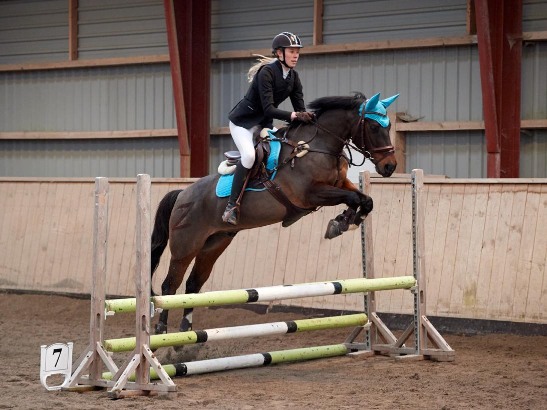 DSP Præst's zedan - Ishøj sportsrideklub 70 cm B0 4 fejl 29/12-2018 billede 3