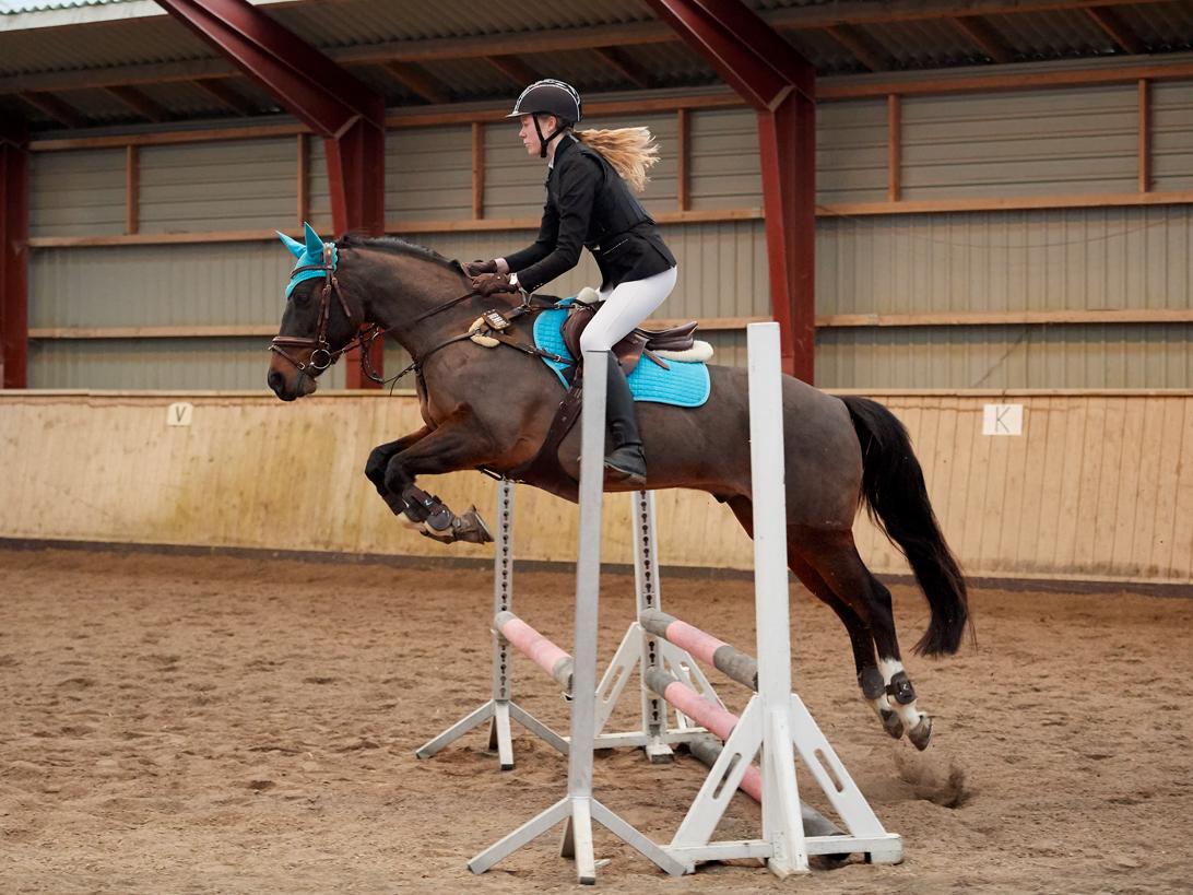 DSP Præst's zedan - Ishøj sportsrideklub 70 cm B0 4 fejl 29/12-2018 billede 1