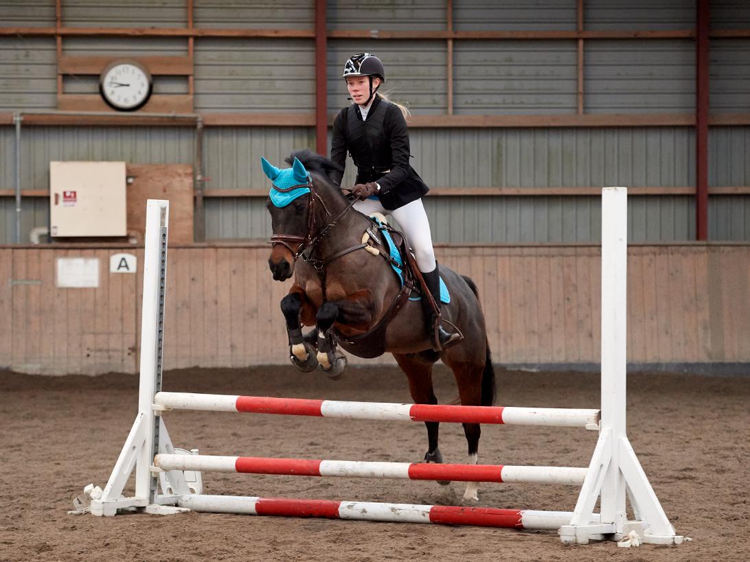 DSP Præst's zedan - Ishøj sportsrideklub 70 cm B0 4 fejl 29/12-2018 billede 11