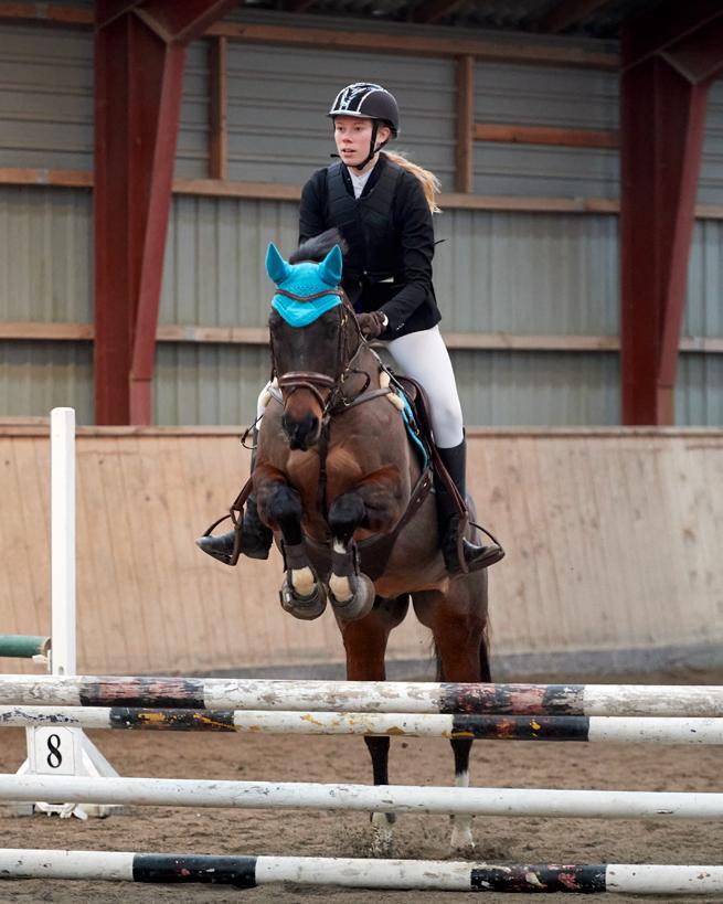 DSP Præst's zedan - Ishøj sportsrideklub 70 cm B0 4 fejl 29/12-2018 billede 10
