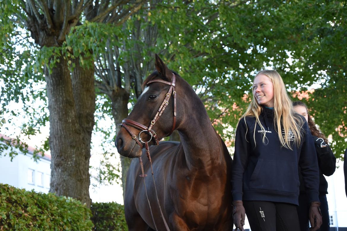 DSP Præst's zedan billede 19