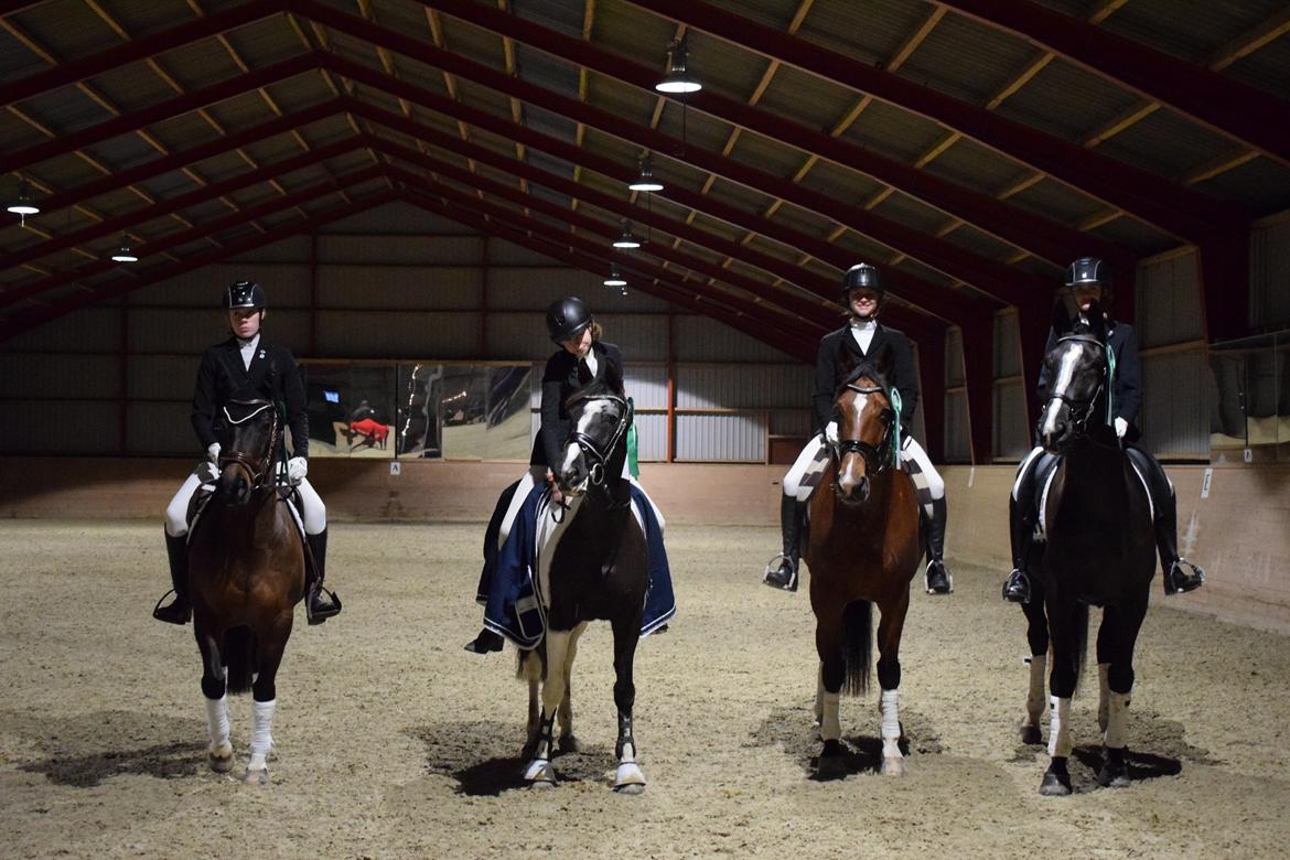 DSP Præst's zedan - dressur holdklasse 25/11-2018  billede 15