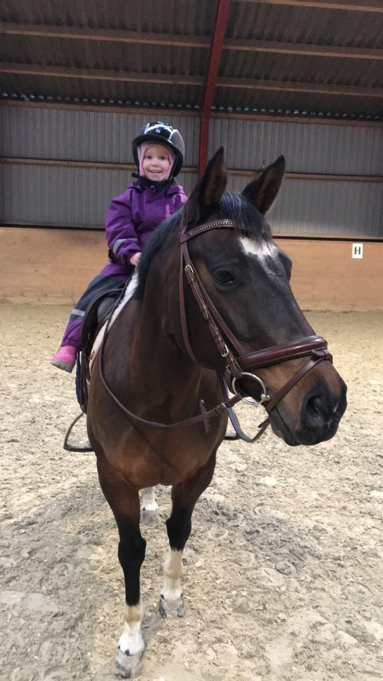 DSP Præst's zedan billede 7