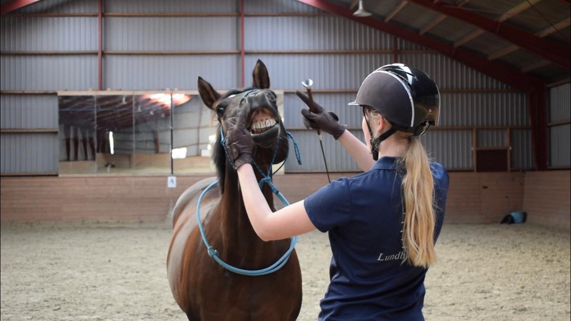 DSP Præst's zedan billede 2