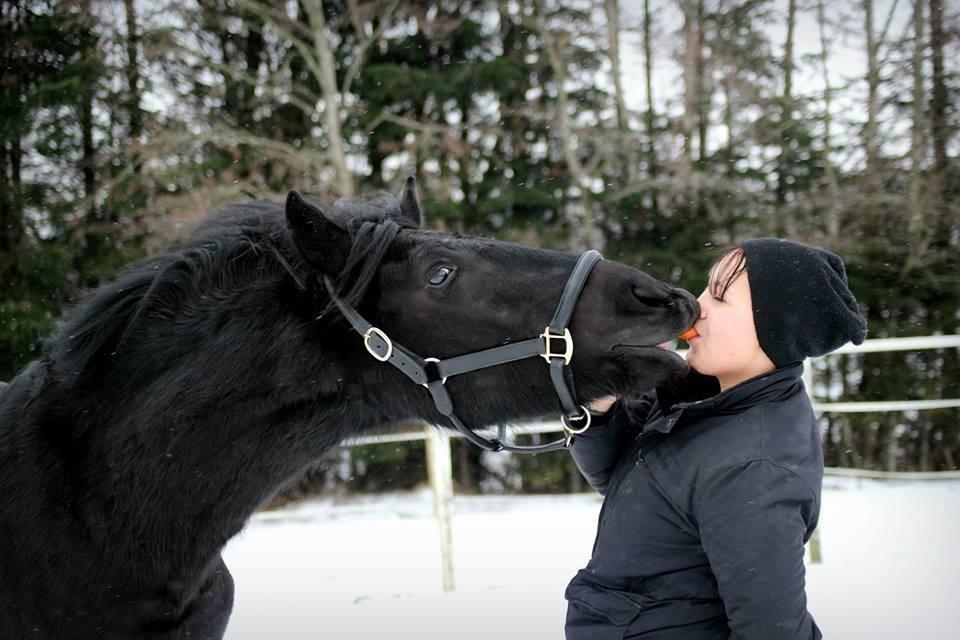 Anden særlig race Bygballegårds Luigi billede 10