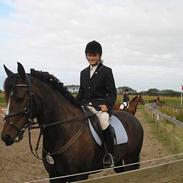 Anden særlig race Lygtegårdens Tabac