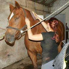 Traver Dream Haldbak