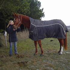 Traver Dream Haldbak