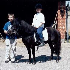 Anden særlig race Kalle