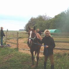 DSP ahorns=Tai Kimiko