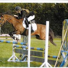 Anden særlig race Paloma Picasso