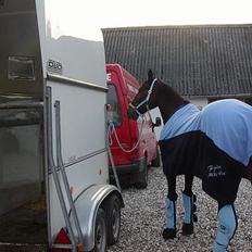 Traver Fjodor Bogø *RIP