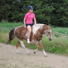 Anden særlig race - Warzakki :') 