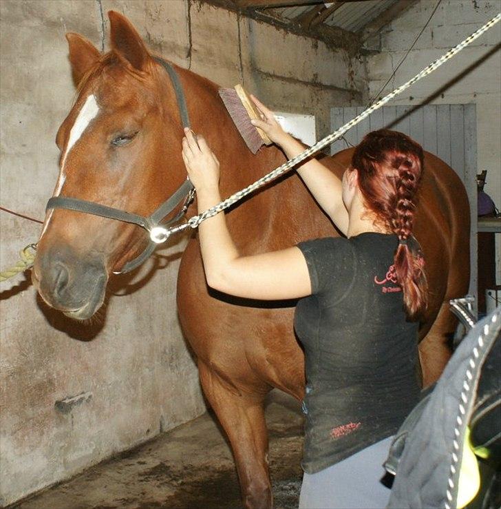 Traver Dream Haldbak billede 1