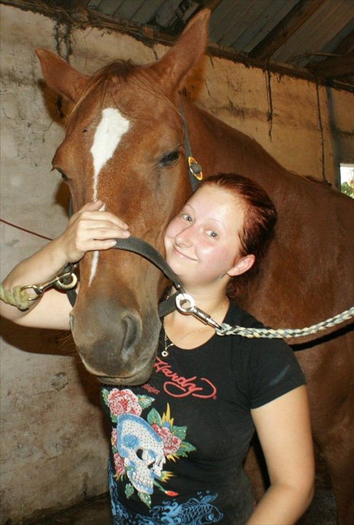 Traver Dream Haldbak billede 2