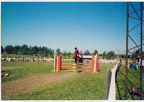 New Forest Alfa - Til vores første distrekt stævne som var i molgjer. billede 2