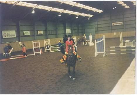 New Forest Alfa - Til et klub stævne i Thyregod billede 4