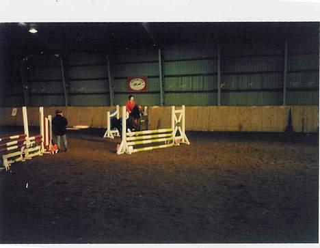 New Forest Alfa - Til et klub stævne i Give. billede 3