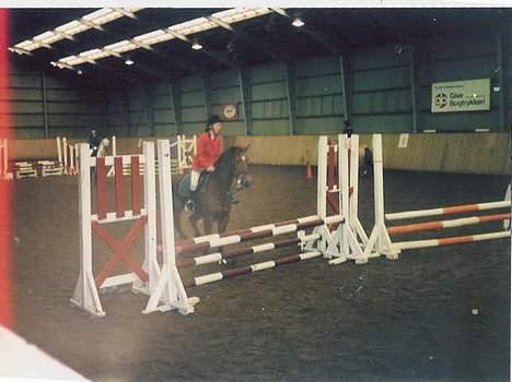 New Forest Alfa - Et stævne i Give. billede 7