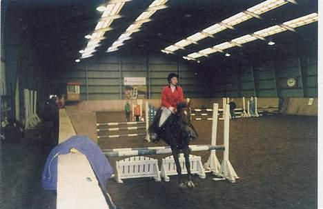 New Forest Alfa - stævne i Give. billede 8