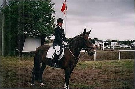 Anden særlig race Magic Touch (Sacha) *Den største stjerne på himlen - Ad, hvor skal jeg lige en dressurhest *PIV*  billede 10