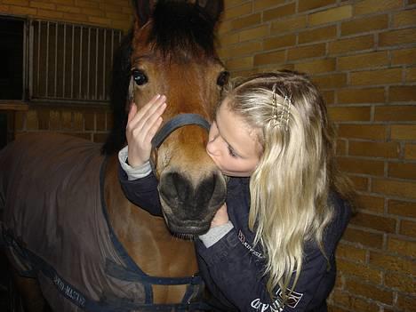 Dartmoor Molly Malone billede 1