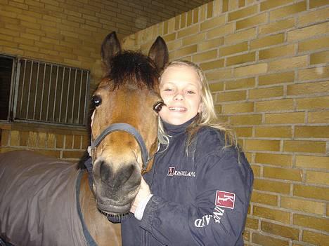 Dartmoor Molly Malone billede 3