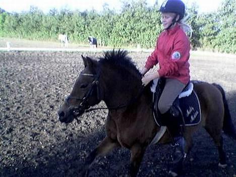 Dartmoor Molly Malone billede 4