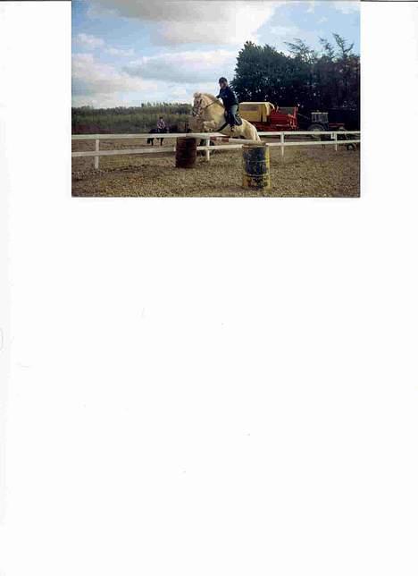 Fjordhest Rita - Rita og jeg springer 1 meter billede 6