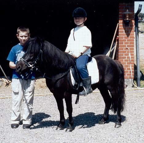 Anden særlig race Kalle - kalle min dejlige pony billede 1