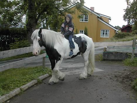 Tinker Gordon billede 9