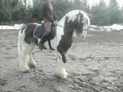 Tinker Gordon billede 10