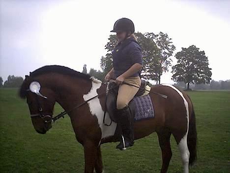 DSP Mr. Flavio billede 2