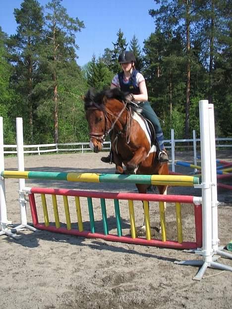 DSP Mr. Flavio billede 3