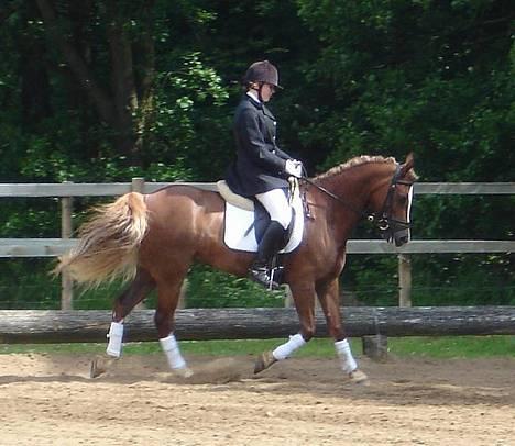 Anden særlig race Østergårdens Easy SOLGT - mig og sisse i børkop.. billede 3