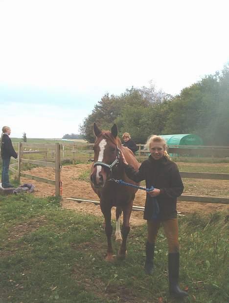 DSP ahorns=Tai Kimiko - Kimiko og Camilla billede 2