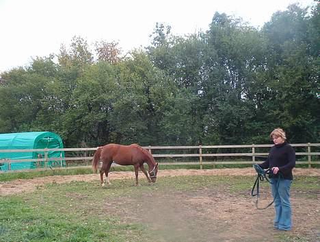 DSP ahorns=Tai Kimiko - Kimiko og min søster Brita billede 3