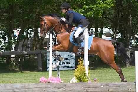 Hollandsk Sportspony Sjanoe - solgt - Oss i Juni 2004..  billede 5
