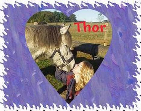 Anden særlig race  Thor<3<3<3 SOLGT - Et lille kys til den lille grå prins<33 billede 3