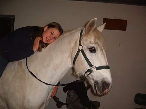 Connemara College boy/ †aflivet† - der er ikke no´et som en go´ ejer;) billede 4