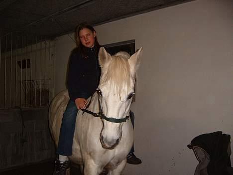 Connemara College boy/ †aflivet† - Mig som "danny-CoOl!" billede 7