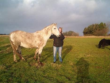 Anden særlig race Beauty Boy - Det er så mig og min lille pullermand, som han også bliver kaldt! billede 2
